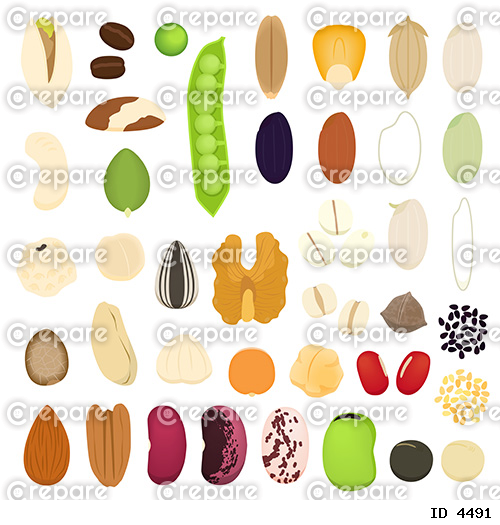 豆と種と穀物のイラストセット