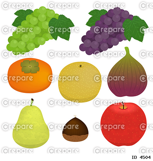 秋の果物のイラスト