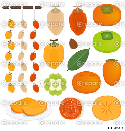 柿のイラストセット