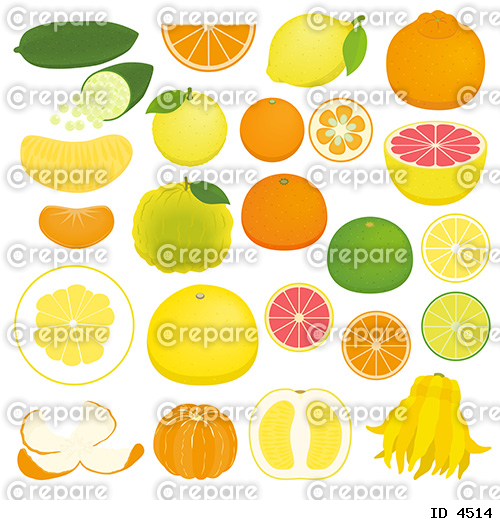 柑橘類のイラストセット