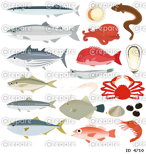魚介類のイラストセット