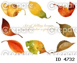 水彩画で描いた落ち葉の素材セット