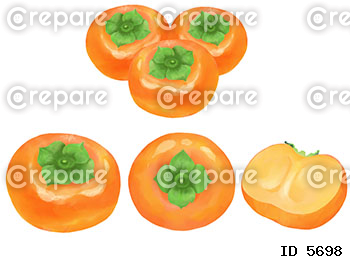 水彩で表現した柿のイラストセット
