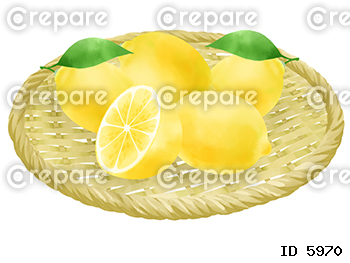 ザルに載ったレモンのイラスト