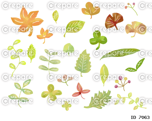 水彩風のかわいい葉のイラストセット