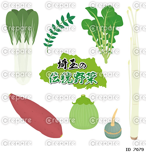 埼玉の伝統野菜のイラストセット