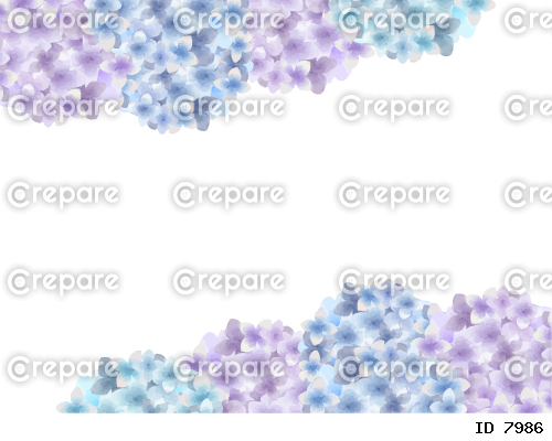 カラフルで美しい紫陽花のフレームのイラスト