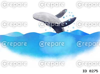海でジャンプしたシロナガスクジラ