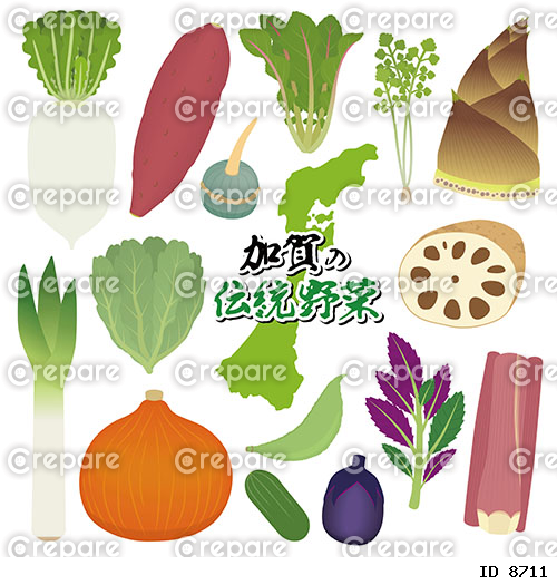 加賀野菜のイラスト