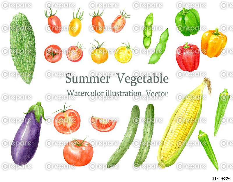 水彩で描いた夏の野菜セット