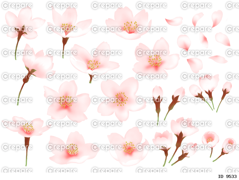 水彩の桜パーツ 色々