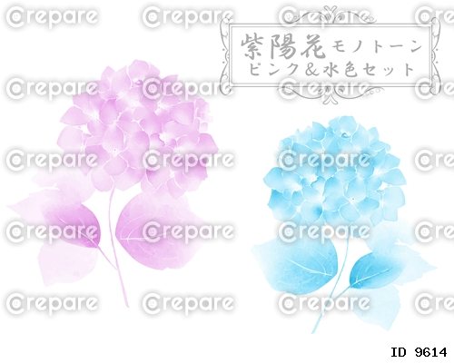 紫陽花のモノトーン(ピンク,水色)カラーセット
