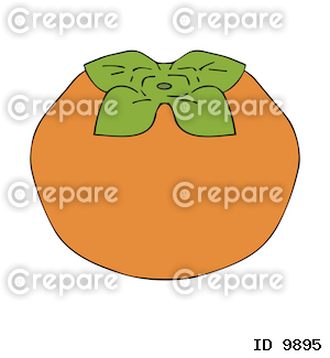 手描きのシンプルな柿のイラスト、ベクター素材