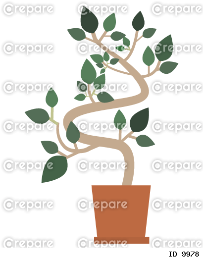 鉢植えのフランスゴムの木（フィカス）のイラスト	