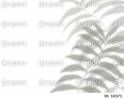 植物の葉の影が白い壁に映る背景
