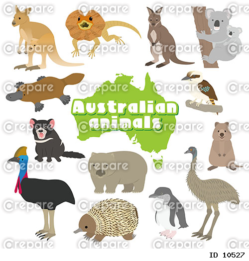 オーストラリアの動物のイラストセット