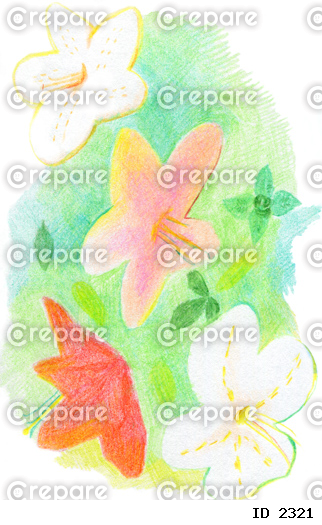 ソフトな質感と色合いのツツジの花の色鉛筆画