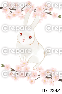 桜の花に囲まれたウサギのイラスト