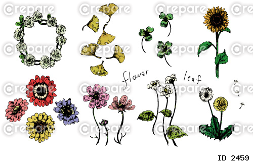 花、葉、植物のボタニカルベクターイラストのセット