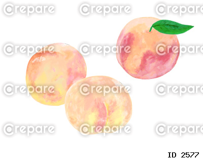 水彩画風の果物の美味しそうな桃の、グラフィカルなイラストセット