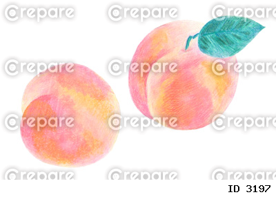 手描きの柔らかい質感の桃のイラスト