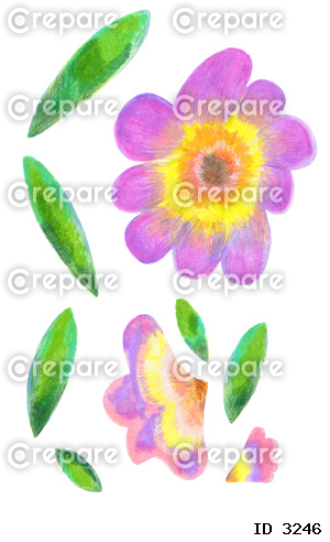 手描きの紫色の花のイラストセット