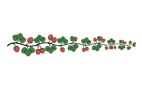 葉っぱがついたイチゴのイラスト クリパレ