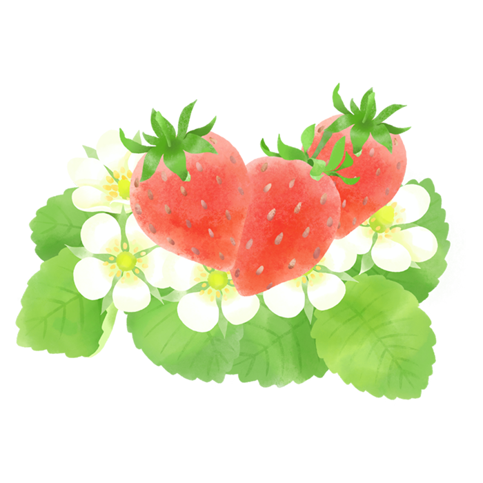 苺の花のイラスト素材 クリパレ