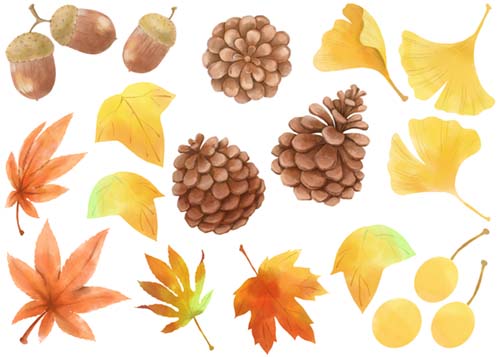 秋の紅葉と木の実のイラストセット クリパレ