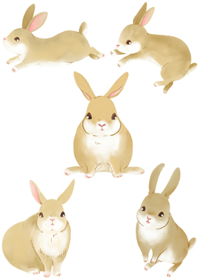 手描きのウサギのイラストセット
