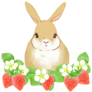 イチゴの花に囲まれたウサギのイラスト