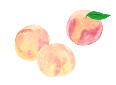 水彩画風の果物の美味しそうな桃の、グラフィカルなイラストセット