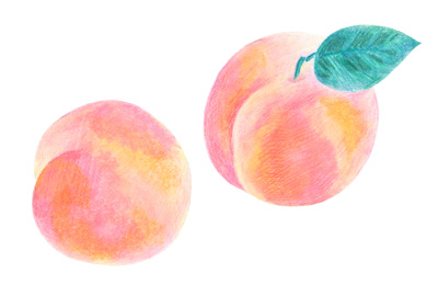 手描きの柔らかい質感の桃のイラスト クリパレ