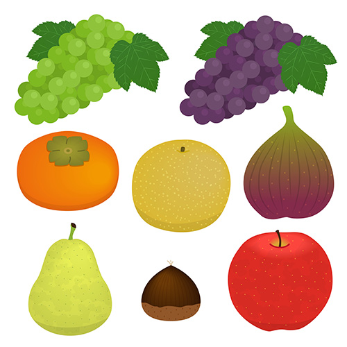 秋の果物のイラスト クリパレ