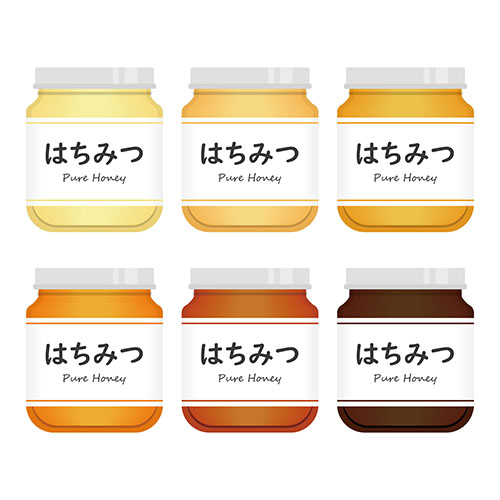 6種の蜂蜜のイラスト