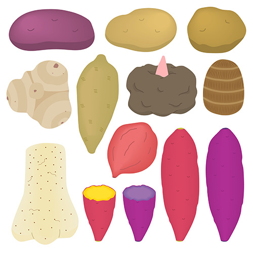 色々な芋のイラスト